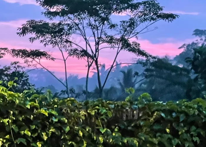 Puri Kasih Gottlieb 4* Ubud